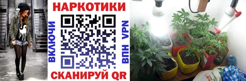 Купить Заволжск Кокаин  АМФ  Гашиш 