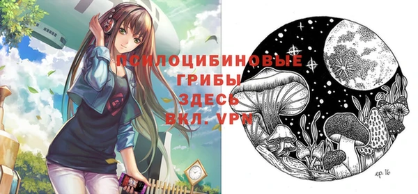a pvp Алзамай