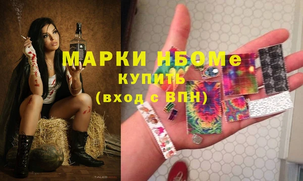 дурь Алексин