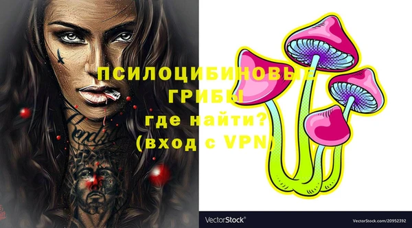 дурь Алексин